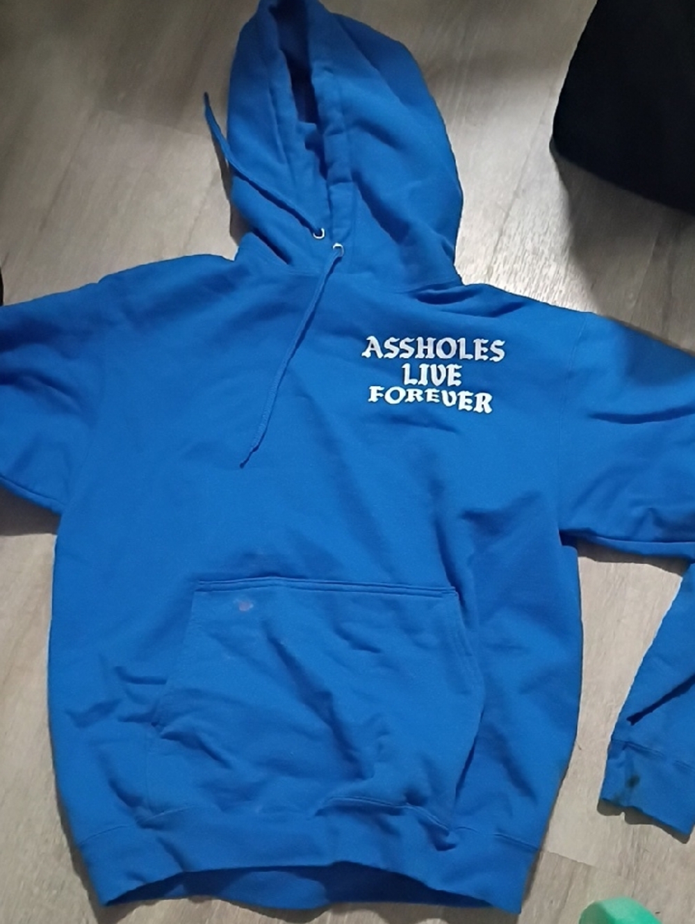 Bold Blue Graphic Hoodie "ASSHOLES LIVE FOREVER"